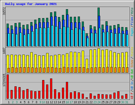 Daily usage for January 2021