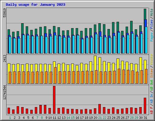 Daily usage for January 2023