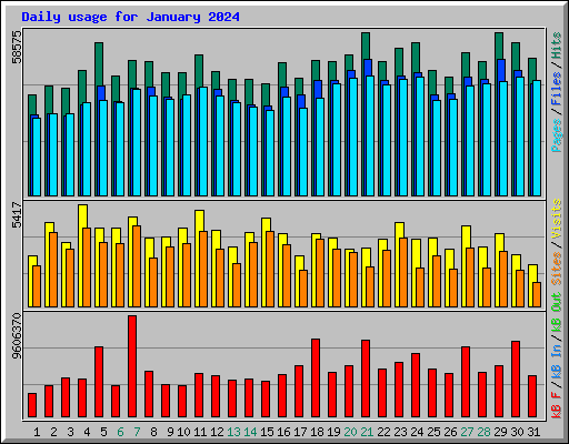 Daily usage for January 2024