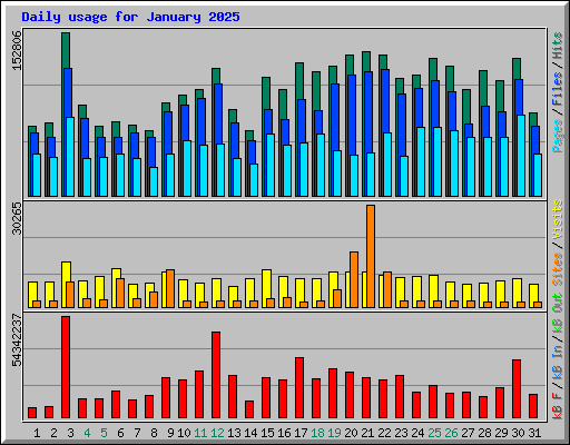 Daily usage for January 2025