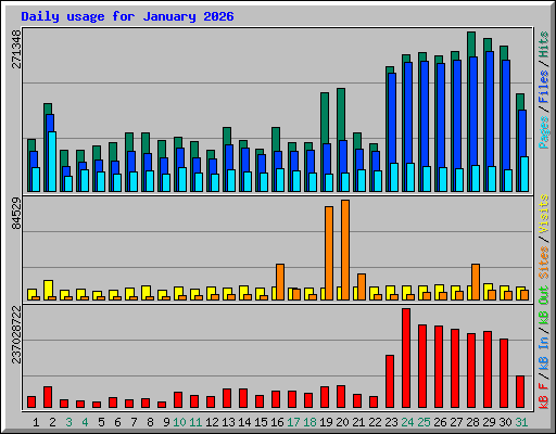 Daily usage for January 2026