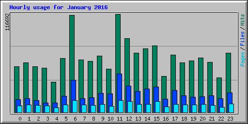 Hourly usage for January 2016