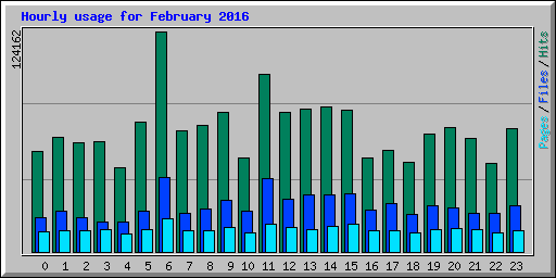 Hourly usage for February 2016