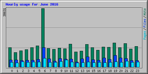 Hourly usage for June 2016