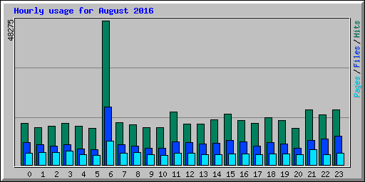 Hourly usage for August 2016