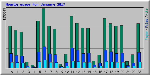 Hourly usage for January 2017