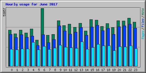 Hourly usage for June 2017