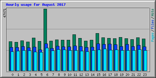 Hourly usage for August 2017