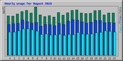 Hourly usage for August 2018