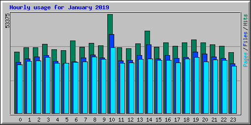 Hourly usage for January 2019