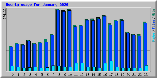 Hourly usage for January 2020