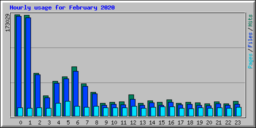 Hourly usage for February 2020