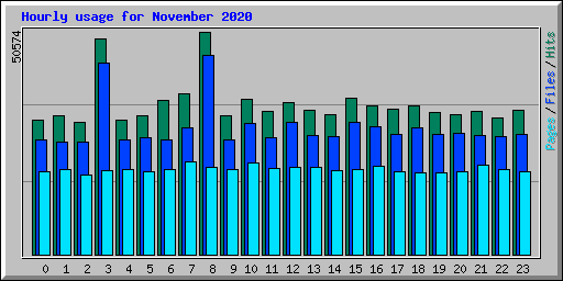 Hourly usage for November 2020
