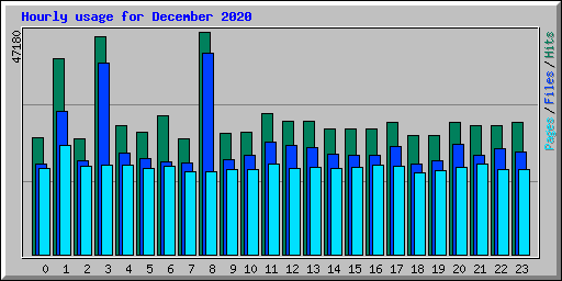 Hourly usage for December 2020