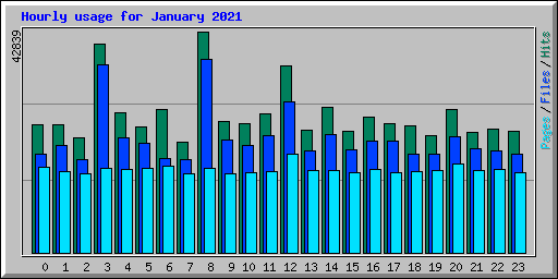 Hourly usage for January 2021