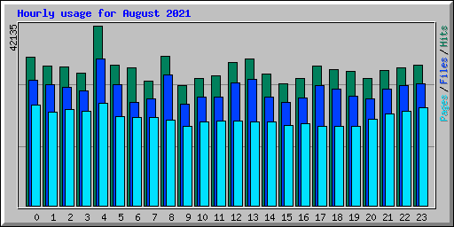 Hourly usage for August 2021