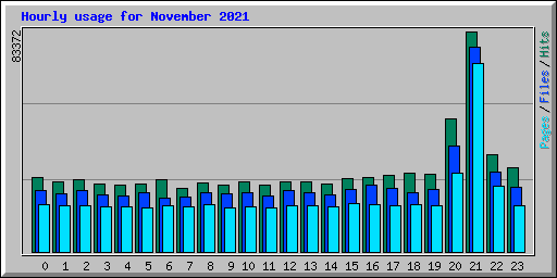 Hourly usage for November 2021
