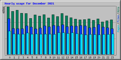 Hourly usage for December 2021