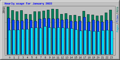 Hourly usage for January 2022