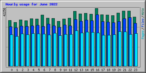 Hourly usage for June 2022