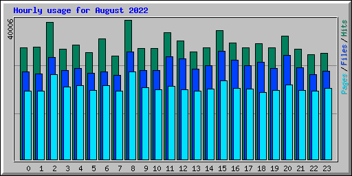 Hourly usage for August 2022