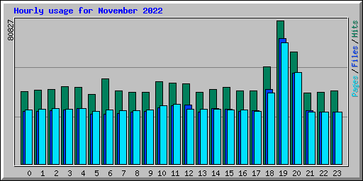Hourly usage for November 2022
