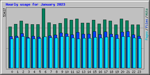 Hourly usage for January 2023