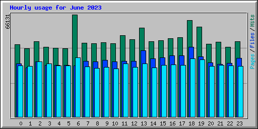 Hourly usage for June 2023