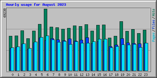 Hourly usage for August 2023