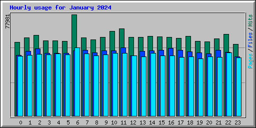 Hourly usage for January 2024