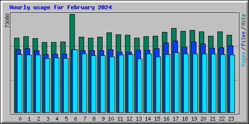 Hourly usage for February 2024