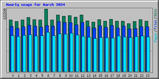Hourly usage for March 2024