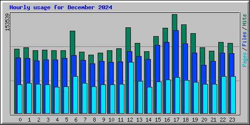 Hourly usage for December 2024