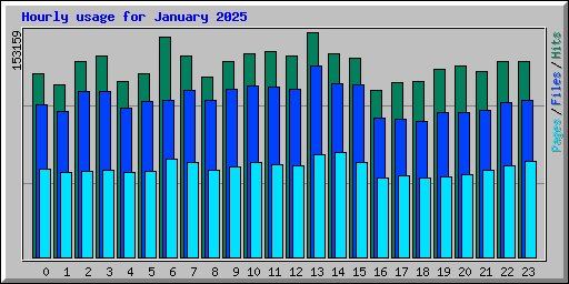 Hourly usage for January 2025