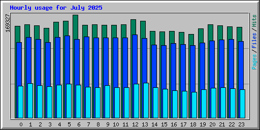 Hourly usage for July 2025