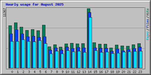 Hourly usage for August 2025
