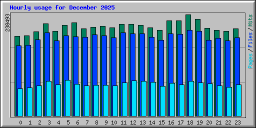 Hourly usage for December 2025