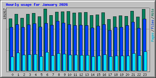 Hourly usage for January 2026